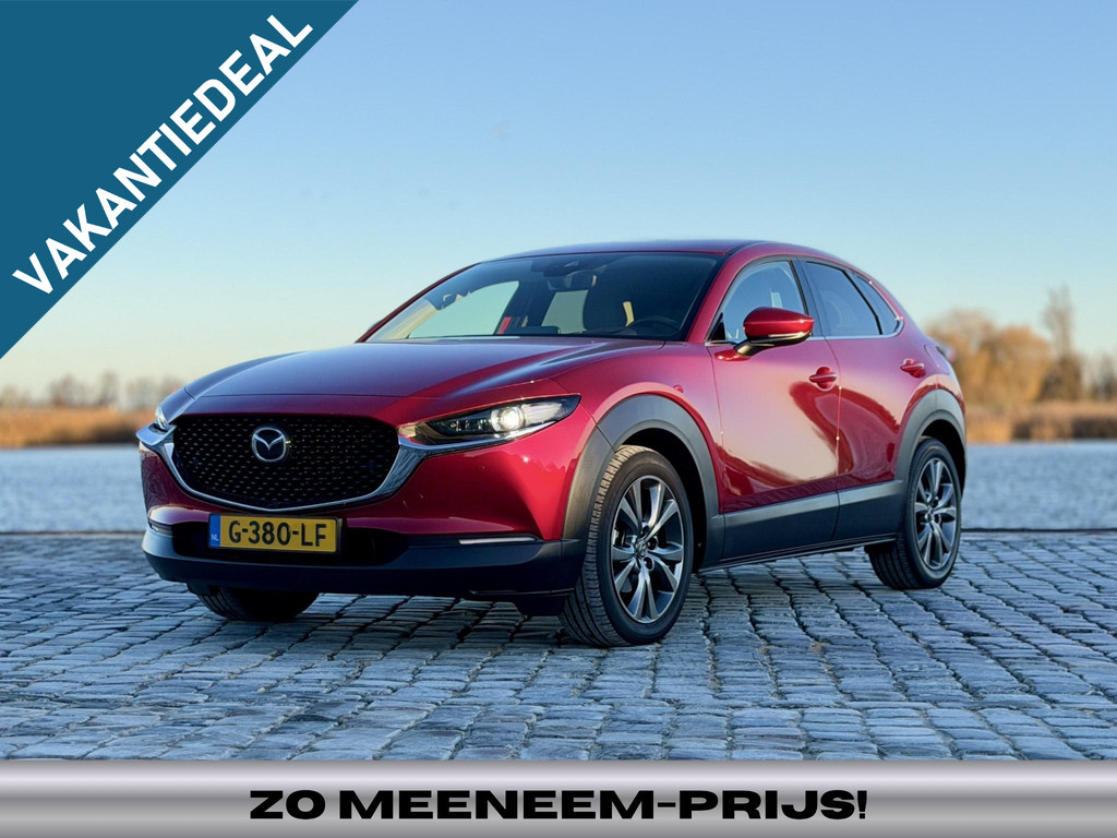50253462