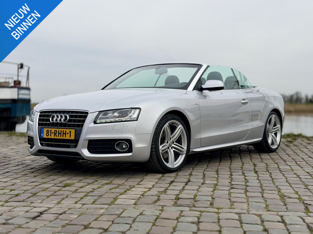 52838231