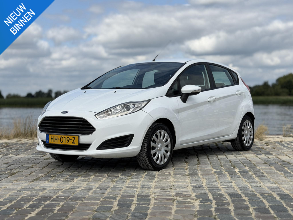 55906300